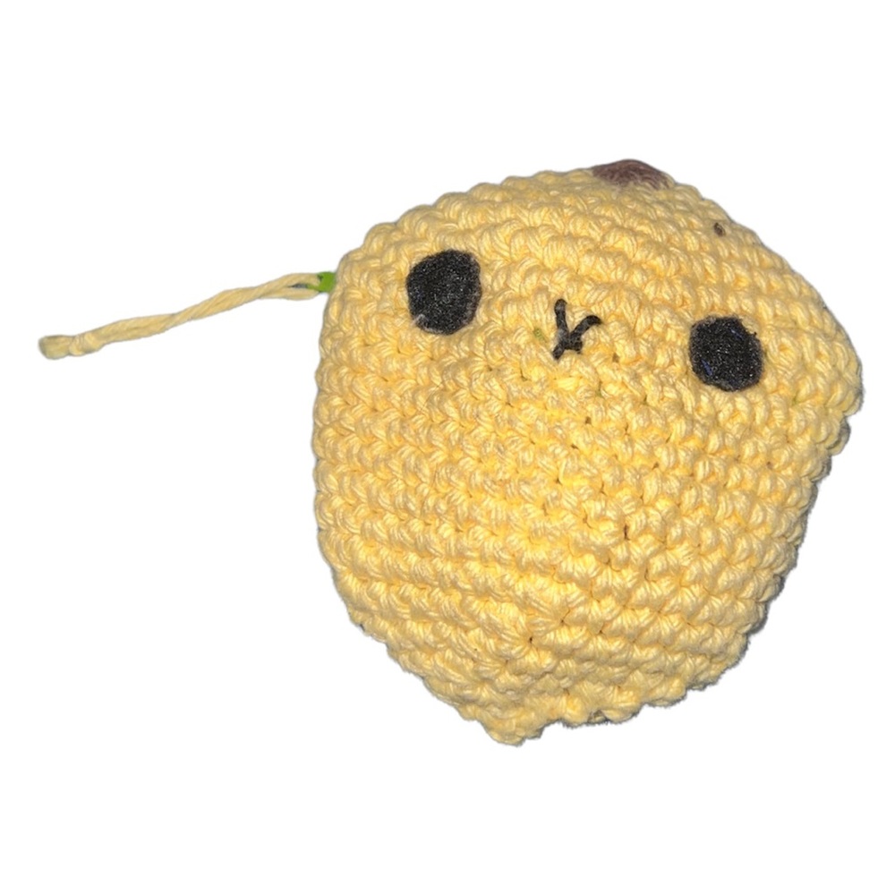 Lemon coin purse